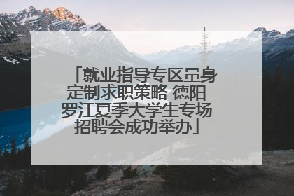 就业指导专区量身定制求职策略 德阳罗江夏季大学生专场招聘会成功举办