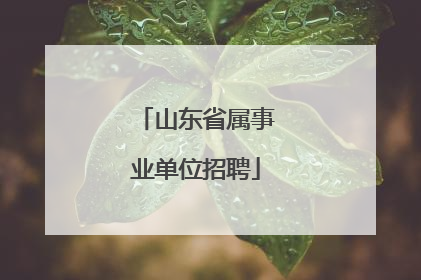 山东省属事业单位招聘