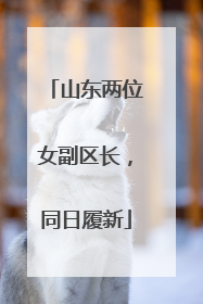 山东两位女副区长，同日履新