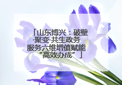 山东博兴：破壁·聚变·共生政务服务六维增值赋能“高效办成”