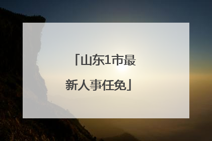山东1市最新人事任免