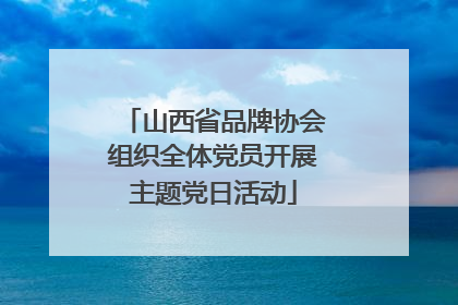 山西省品牌协会组织全体党员开展主题党日活动
