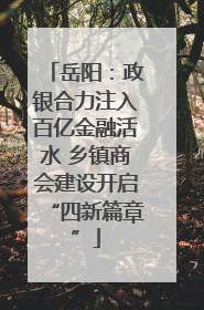 岳阳：政银合力注入百亿金融活水 乡镇商会建设开启“四新篇章”