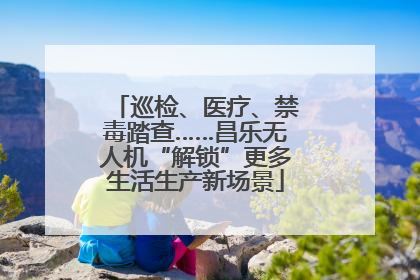 巡检、医疗、禁毒踏查……昌乐无人机“解锁”更多生活生产新场景