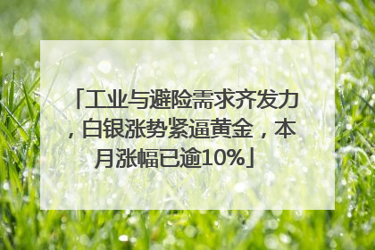 工业与避险需求齐发力，白银涨势紧逼黄金，本月涨幅已逾10%