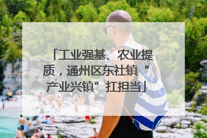 工业强基、农业提质，通州区东社镇“产业兴镇”扛担当
