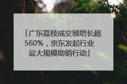 广东荔枝成交额增长超560%，京东发起行业最大规模助销行动