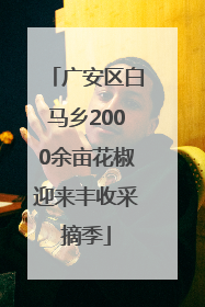 广安区白马乡2000余亩花椒迎来丰收采摘季