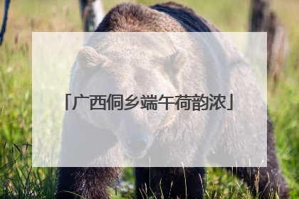 广西侗乡端午荷韵浓