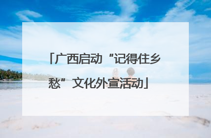 广西启动“记得住乡愁”文化外宣活动