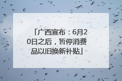 广西宣布：6月20日之后，暂停消费品以旧换新补贴
