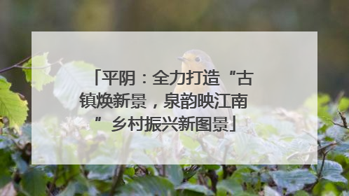平阴：全力打造“古镇焕新景，泉韵映江南”乡村振兴新图景