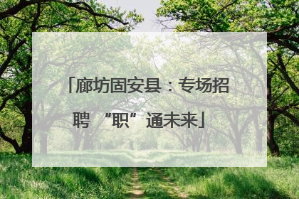廊坊固安县：专场招聘 “职”通未来