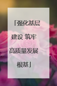 强化基层建设 筑牢高质量发展根基