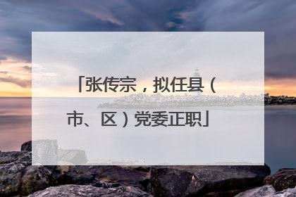 张传宗，拟任县（市、区）党委正职