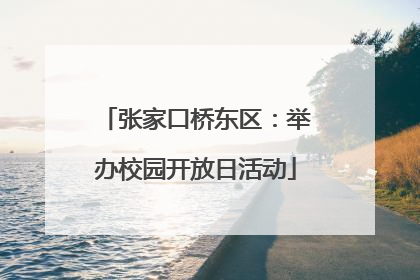 张家口桥东区：举办校园开放日活动