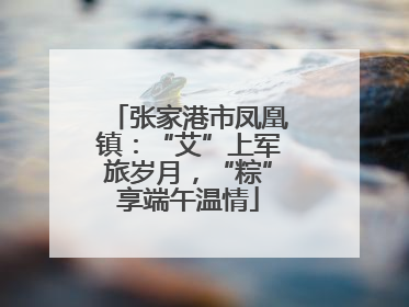 张家港市凤凰镇：“艾”上军旅岁月，“粽”享端午温情