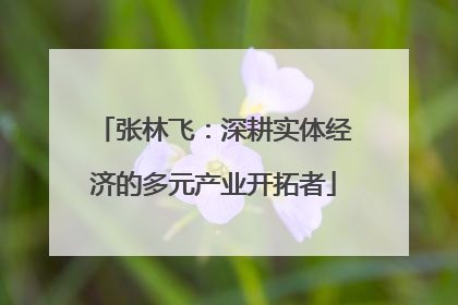 张林飞：深耕实体经济的多元产业开拓者