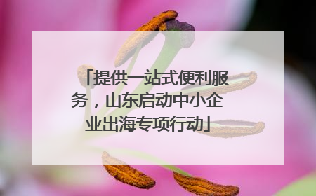 提供一站式便利服务，山东启动中小企业出海专项行动