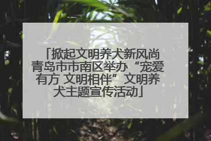 掀起文明养犬新风尚 青岛市市南区举办“宠爱有方 文明相伴”文明养犬主题宣传活动