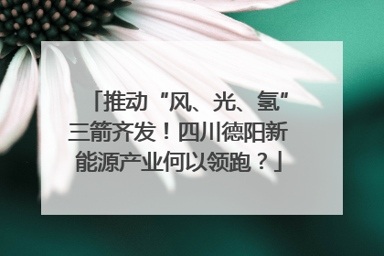 推动“风、光、氢”三箭齐发！四川德阳新能源产业何以领跑？