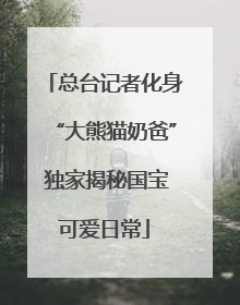 总台记者化身“大熊猫奶爸” 独家揭秘国宝可爱日常