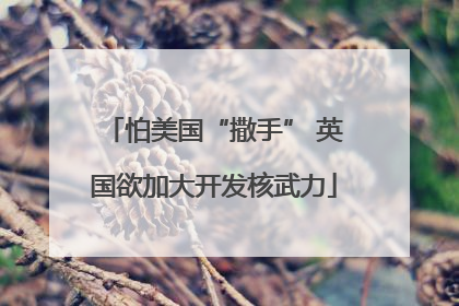 怕美国“撒手” 英国欲加大开发核武力