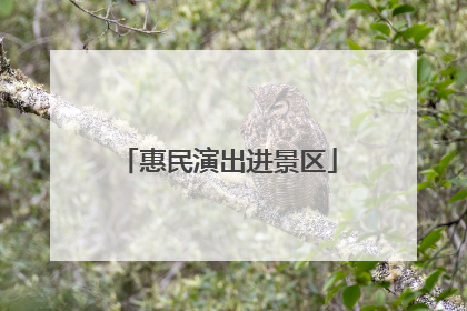 惠民演出进景区