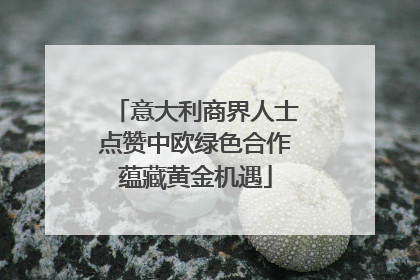 意大利商界人士点赞中欧绿色合作蕴藏黄金机遇