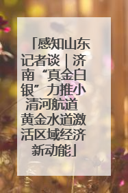感知山东记者谈｜济南“真金白银”力推小清河航道 黄金水道激活区域经济新动能