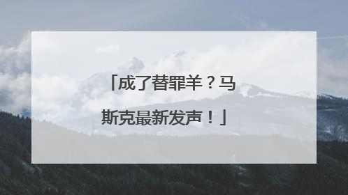 成了替罪羊？马斯克最新发声！