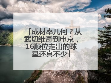 成材率几何？从武切维奇到申京，16顺位走出的球星还真不少