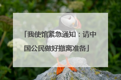 我使馆紧急通知：请中国公民做好撤离准备