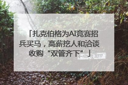 扎克伯格为AI竞赛招兵买马，高薪挖人和洽谈收购“双管齐下”