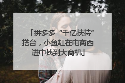 拼多多“千亿扶持”搭台，小鱼缸在电商西进中找到大商机