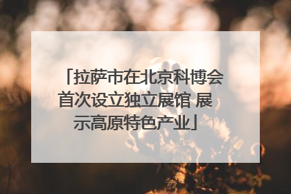拉萨市在北京科博会首次设立独立展馆 展示高原特色产业