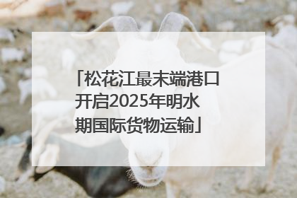 松花江最末端港口开启2025年明水期国际货物运输