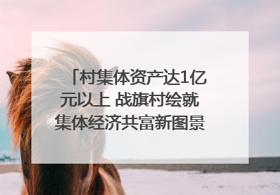 村集体资产达1亿元以上 战旗村绘就集体经济共富新图景｜牵挂的村