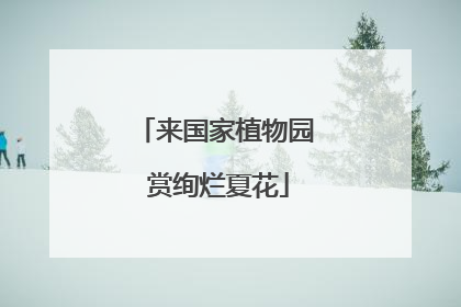 来国家植物园 赏绚烂夏花