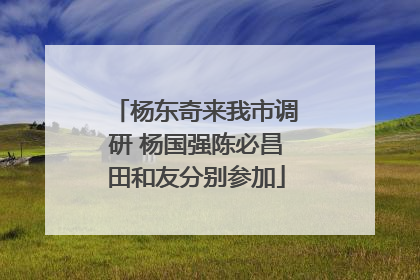 杨东奇来我市调研 杨国强陈必昌田和友分别参加