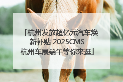 杭州发放超亿元汽车焕新补贴 2025CMS杭州车展端午等你来逛