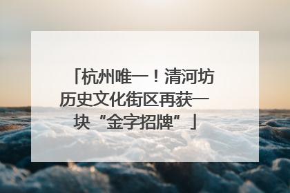 杭州唯一！清河坊历史文化街区再获一块“金字招牌”