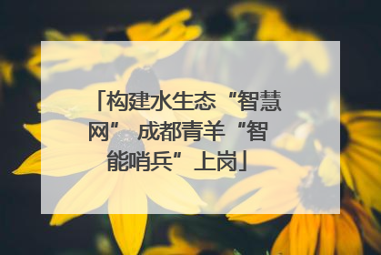 构建水生态“智慧网” 成都青羊“智能哨兵”上岗