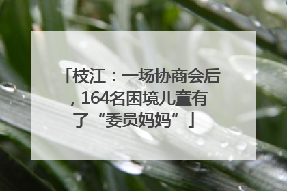 枝江：一场协商会后，164名困境儿童有了“委员妈妈”