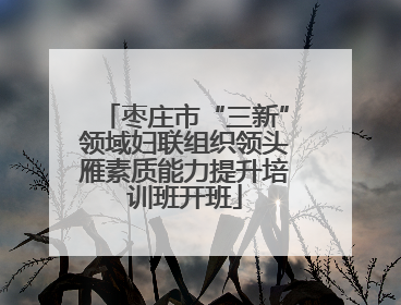 枣庄市“三新”领域妇联组织领头雁素质能力提升培训班开班