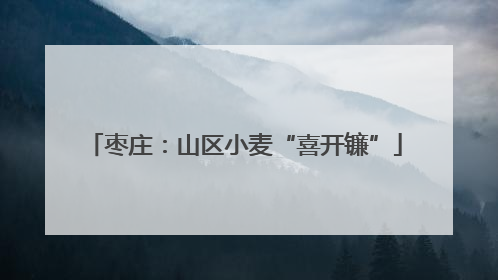 枣庄：山区小麦“喜开镰”