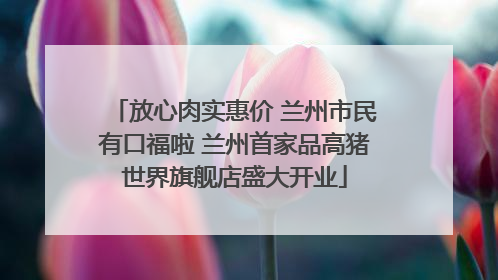 放心肉实惠价 兰州市民有口福啦 兰州首家品高猪世界旗舰店盛大开业
