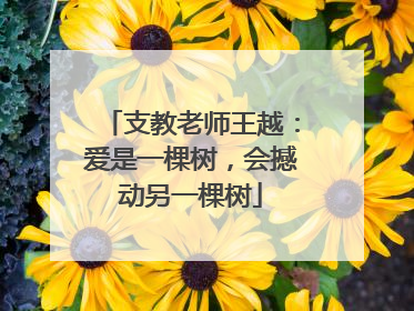 支教老师王越：爱是一棵树，会撼动另一棵树