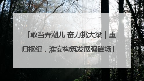 敢当弄潮儿 奋力挑大梁｜重归枢纽，淮安构筑发展强磁场