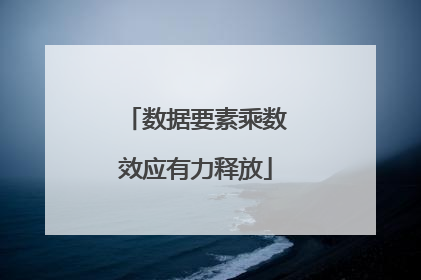 数据要素乘数效应有力释放